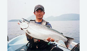 Record photograph for Oncorhynchus masou